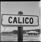 Calico sign